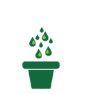 Water daily